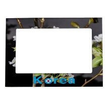 Korea Cherry Blüten Weiß