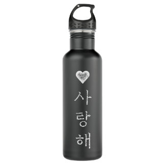 Korea I Liebe Sie in koreanischem Brief Saranghae Edelstahlflasche