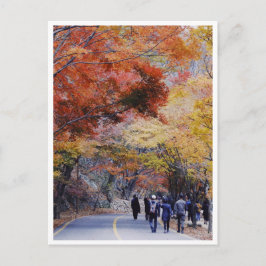 Korea Postcard Postkarte