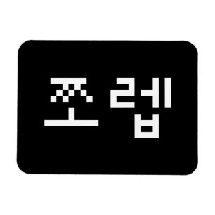 Korean Newb 쪼 렙 Jjoleb   Hangul Language Magnet