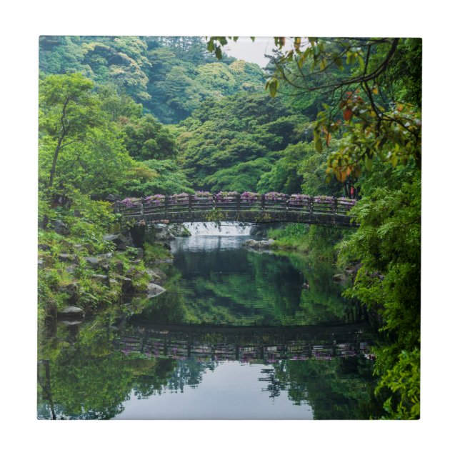 Koreanischer Garten und Brücke Fliese (Vorderseite)