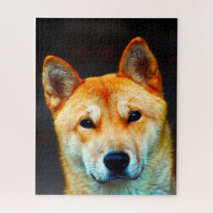 koreanischer Jindo Dog. Puzzle
