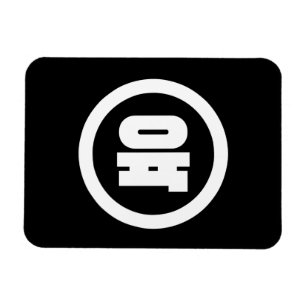 Koreanischer Sino Nummer 6 Sechs 육 【Yuk】 Hangul Magnet
