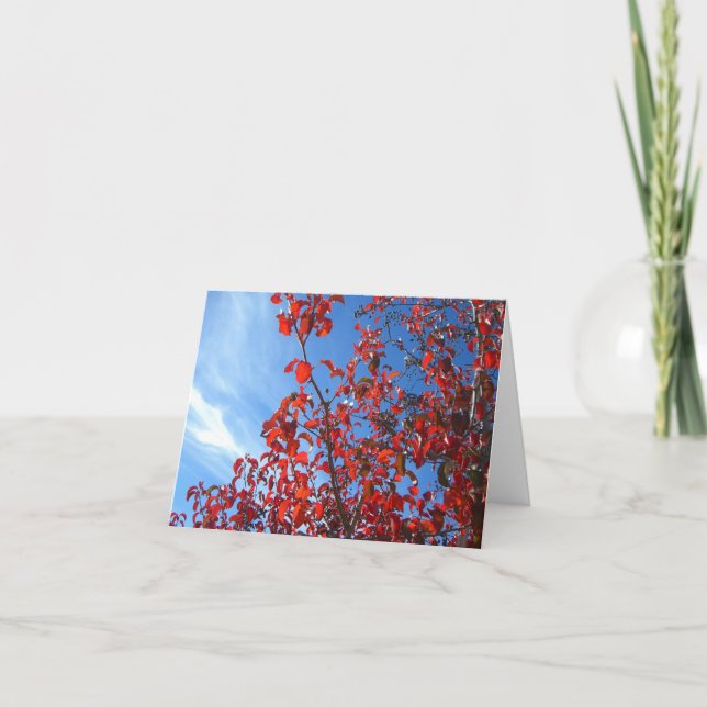 Koreanisches Birn Karte (Vorderseite)