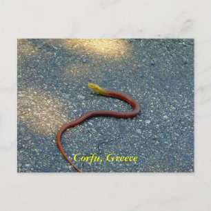 Korfu, Griechenland Postkarte