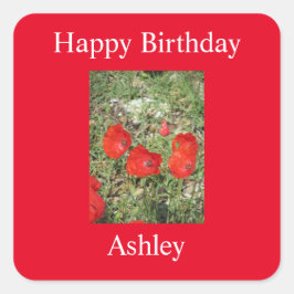 Korfu Rote Poppies Sticker