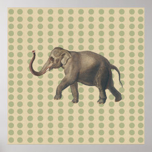 Koriander Gewürz Stimmungen Punkte mit Elefant Poster