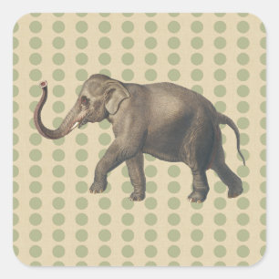 Koriander Gewürz Stimmungen Punkte mit Elefant Quadratischer Aufkleber
