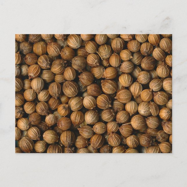 Koriander Postkarte (Vorderseite)