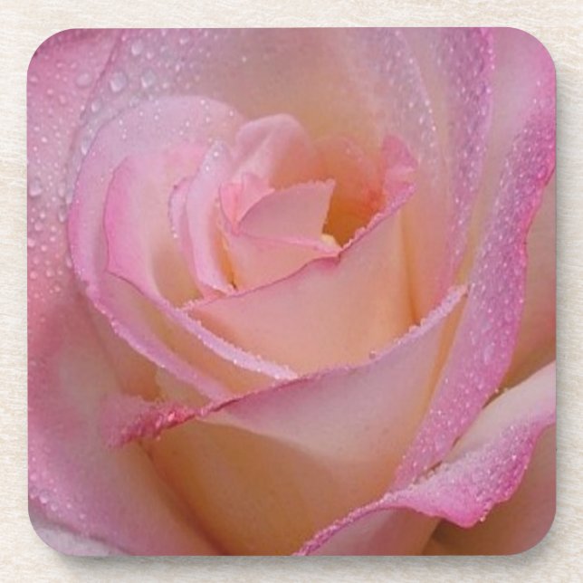 Korken-Untersetzer-Set-schöne rosa Rose Untersetzer (Vorderseite)