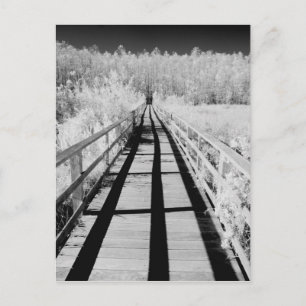 Korkenzieher-Sumpf-Schutzgebiet Bohlenweg, Florida Postkarte