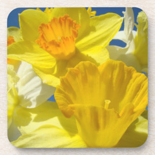 Korkuntersetzer Geschenke Frühling Gelbe Narzissen Untersetzer