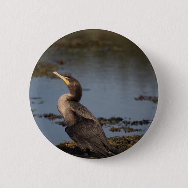 Kormoran Button (Vorderseite)