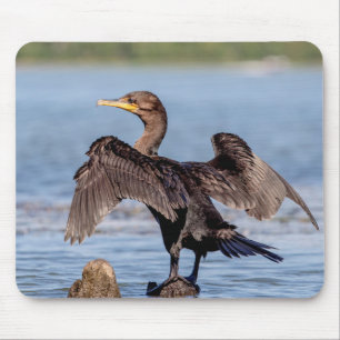 Kormoran Doppelt-mit Haube auf See Champlain Mousepad