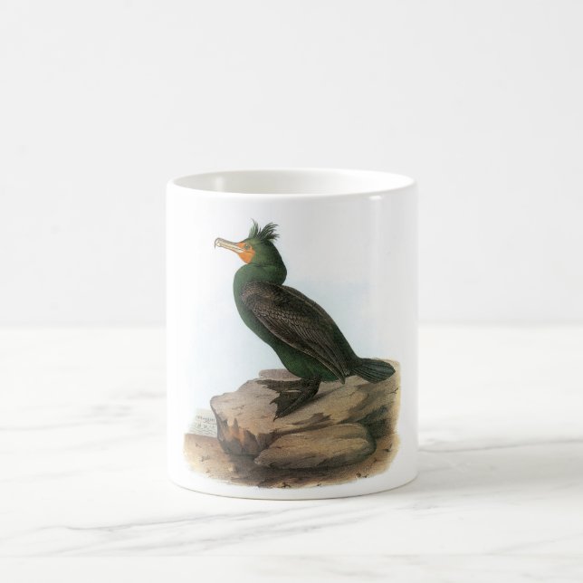 Kormoran Doppelt-mit Haube durch Audubon Tasse (Mittel)