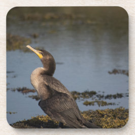 Kormoran Getränkeuntersetzer