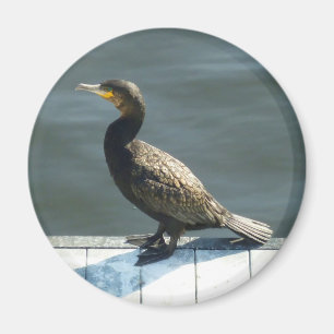 Kormoran Magnet