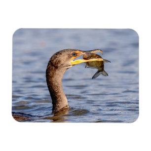 Kormoran mit Fisch Magnet