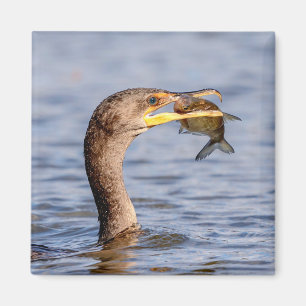 Kormoran mit Fisch Magnet
