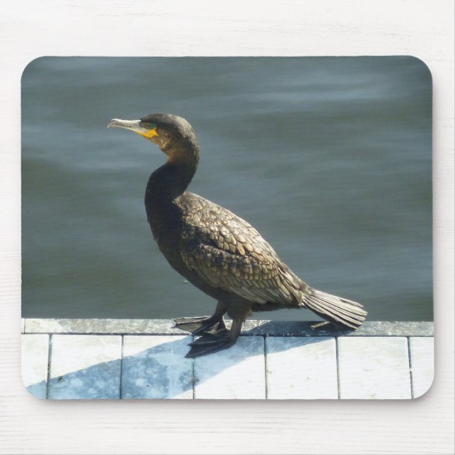 Kormoran Mousepad (Vorne)