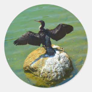 Kormoran Runder Aufkleber