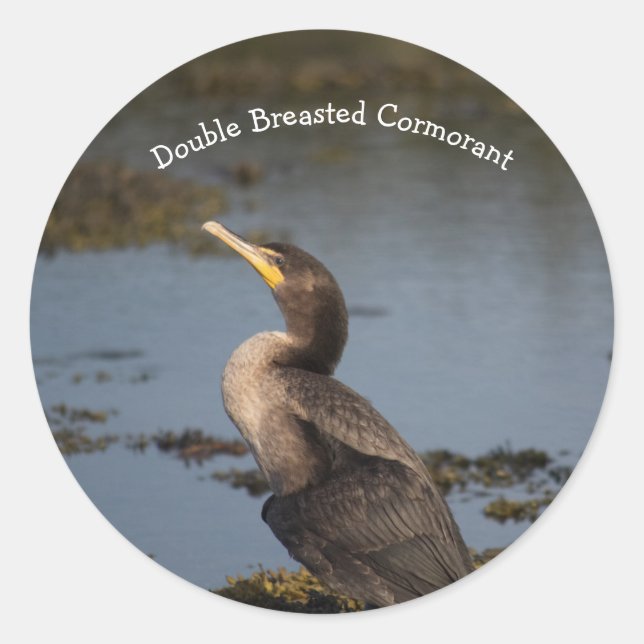 Kormoran Runder Aufkleber (Vorderseite)