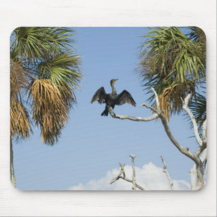 Kormoran Trockenwings Mousepad