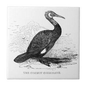 Kormoran Vintage Vogel Wildlife Zeichnung Fliese