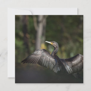 Kormorant Bird Nature Foto-Karte