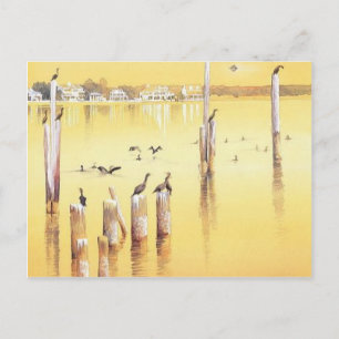 "Kormorants" Wasserfarben-Beach-Vögel Postkarte