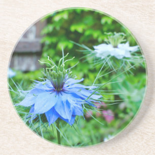 Kornblume Getränkeuntersetzer