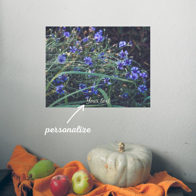 Kornblume Poster (Von Creator hochgeladen)