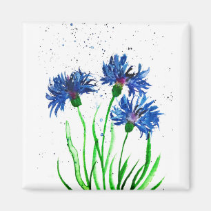 Kornblumen Aquarell Magnet