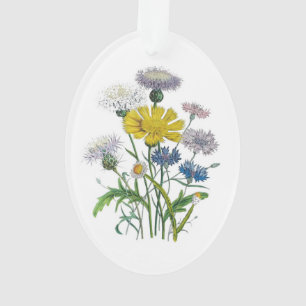 Kornblumen Ornament