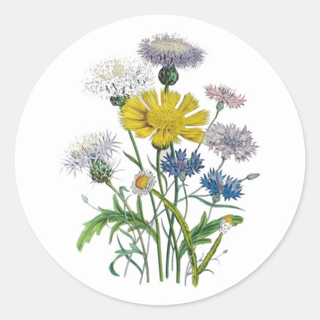 Kornblumen Runder Aufkleber (Vorderseite)