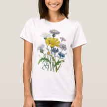 Kornblumen
