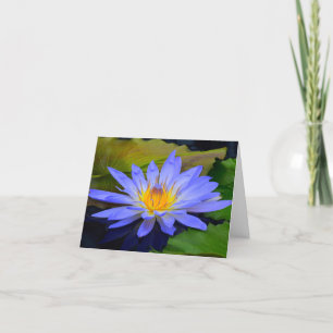 Kornblumenblaue große Seerosen-Grußkarten Karte