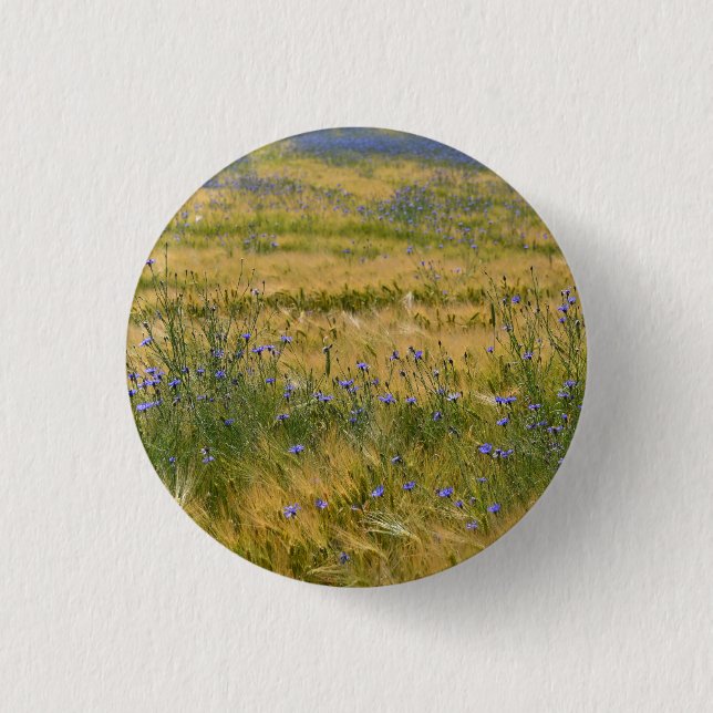 Kornblumenfeld      button (Vorderseite)