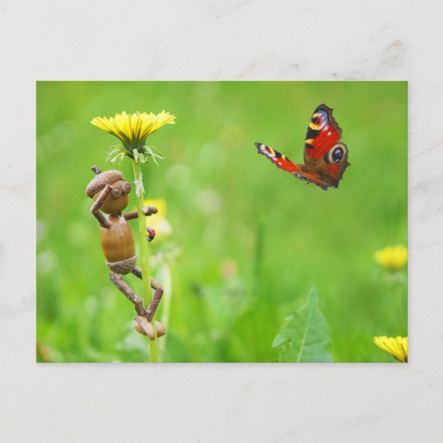 Kornelf auf Löwenzahn mit Schmetterling auf Wiese Postkarte (Vorderseite)