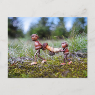 Kornelfen mit großem Pilz im Korb Postkarte