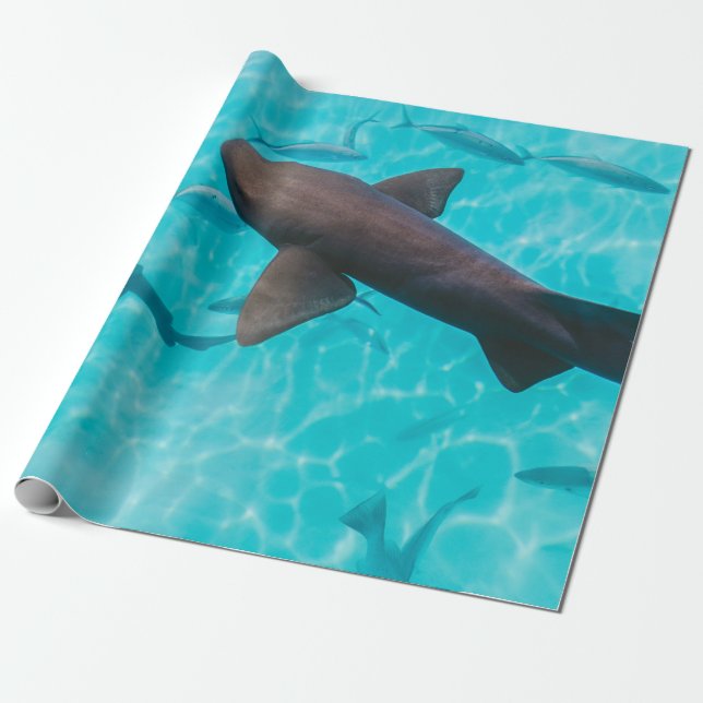 KÖRPER GESCHENKPAPIER (Ungerollt)