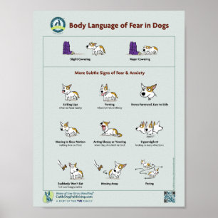 Körpersprache der Angst im Hunde-Poster Poster