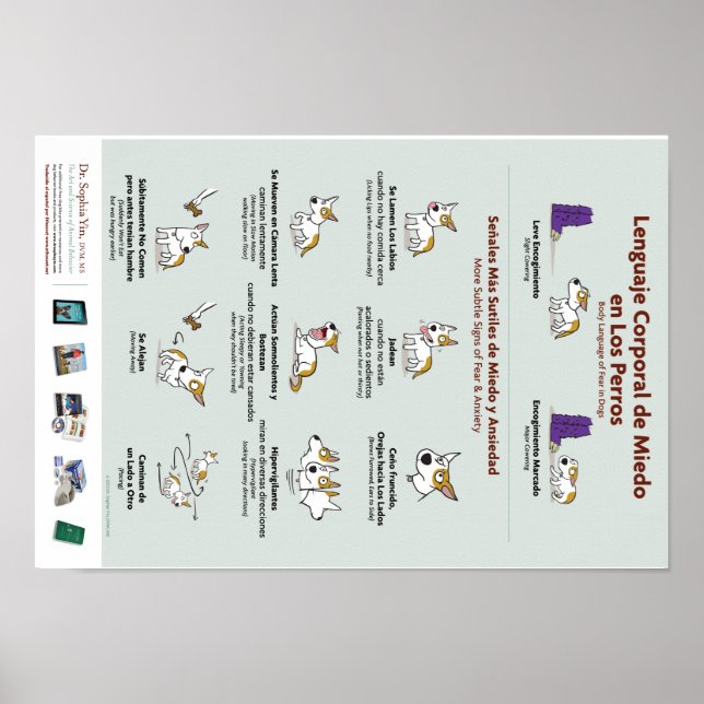 Körpersprache der Angst im Hunde-Poster (Spanisch) Poster (Vorne)