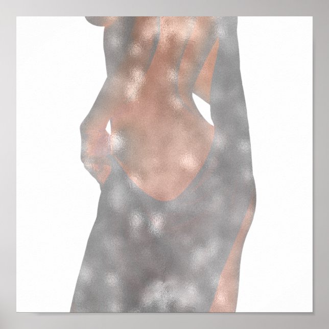 Körperstudie an Frauen Rosa Rose Gray Delicate Omb Poster (Vorne)