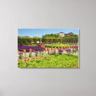 Korridor lila Salbei-Blume und Stechys lanata Leinwanddruck