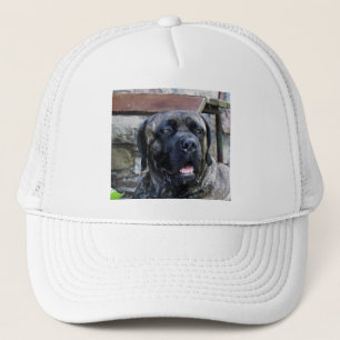 Korsograu Truckerkappe