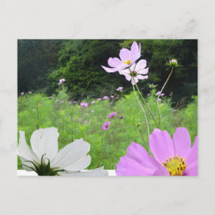 Kosmetik, Wild Blume Feld DIY Postkarte