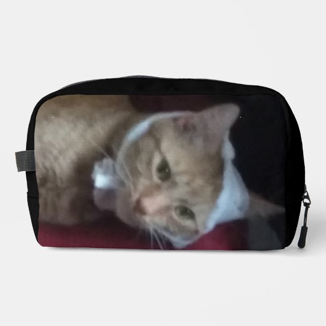 Kosmetiktüten Ingwerkatze Waschbeutel (Vorderseite)