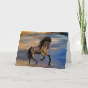 Kosmisch .. Wildhengst Karte