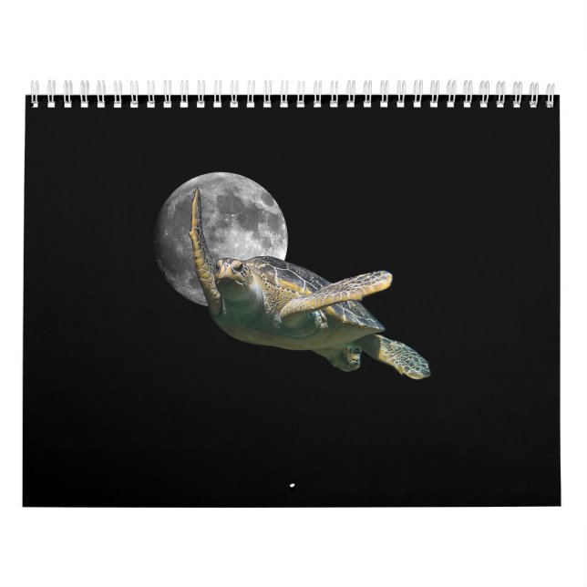 Kosmische Mondschildkröte im Raumauftritt Kalender (Titelbild)